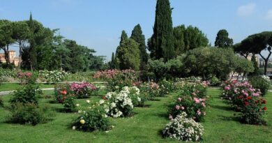 Roma. Roseto, apertura autunnale